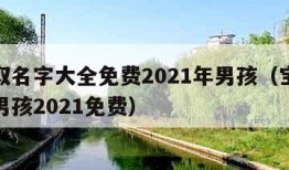 宝宝取名字大全免费2021年男孩（宝宝起名字男孩2021免费）