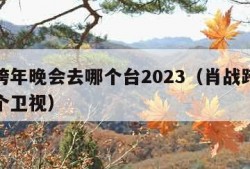 肖战跨年晚会去哪个台2023（肖战跨年会在哪个卫视）