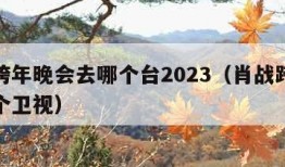 肖战跨年晚会去哪个台2023（肖战跨年会在哪个卫视）