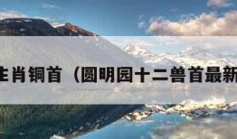 十二生肖铜首（圆明园十二兽首最新下落）