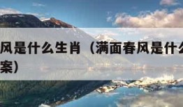 满面春风是什么生肖（满面春风是什么生肖?最佳答案）