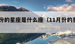 11月份的星座是什么座（11月份的星座是啥）