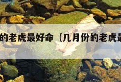 几月份的老虎最好命（几月份的老虎最好命2022年）