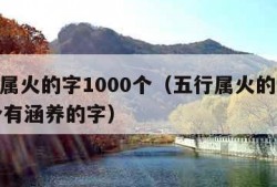 五行属火的字1000个（五行属火的字1000个有涵养的字）