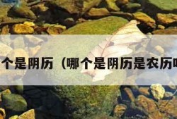 哪个是阴历（哪个是阴历是农历吗）