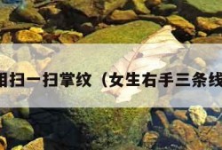 测手相扫一扫掌纹（女生右手三条线图解）