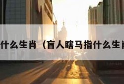 指什么生肖（盲人瞎马指什么生肖）