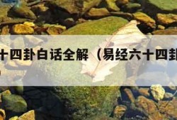 易经六十四卦白话全解（易经六十四卦白话全解观卦）