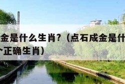 点石成金是什么生肖?（点石成金是什么生肖,打一个正确生肖）