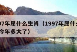 1997年属什么生肖（1997年属什么生肖 今年多大了）