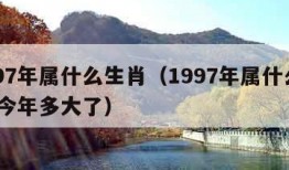 1997年属什么生肖（1997年属什么生肖 今年多大了）