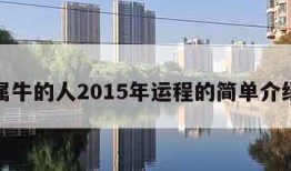 属牛的人2015年运程的简单介绍