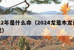 2022年是什么命（2024龙是木龙还是火龙）