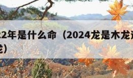 2022年是什么命（2024龙是木龙还是火龙）