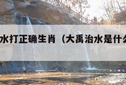 大禹治水打正确生肖（大禹治水是什么生肖?）