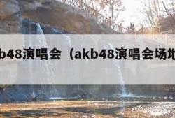 akb48演唱会（akb48演唱会场地人数）