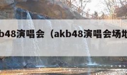 akb48演唱会（akb48演唱会场地人数）