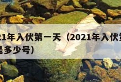 2021年入伏第一天（2021年入伏第一天是多少号）