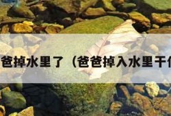 我爸爸掉水里了（爸爸掉入水里干什么）