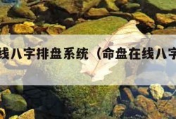 命盘在线八字排盘系统（命盘在线八字排盘系统api）