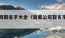 贸易公司取名字大全（贸易公司取名字大全四个字）