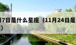 11月7日是什么星座（11月24日是什么星座）