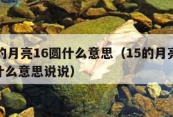 15的月亮16圆什么意思（15的月亮16圆什么意思说说）