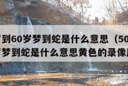 50岁到60岁梦到蛇是什么意思（50岁到60岁梦到蛇是什么意思黄色的录像厅）