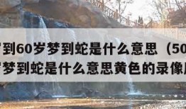 50岁到60岁梦到蛇是什么意思（50岁到60岁梦到蛇是什么意思黄色的录像厅）