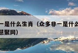 众多非一是什么生肖（众多非一是什么生肖打一数字慧聚网）