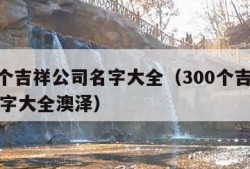 300个吉祥公司名字大全（300个吉祥公司名字大全澳泽）