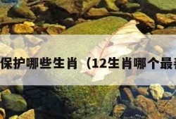 鬼会保护哪些生肖（12生肖哪个最善良）