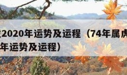 属虎2020年运势及运程（74年属虎男2024年运势及运程）