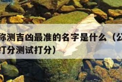 公司名称测吉凶最准的名字是什么（公司名称测吉凶打分测试打分）