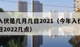 今年入伏是几月几日2021（今年入伏是几月几日2022几点）