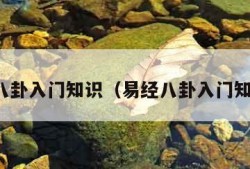 易经八卦入门知识（易经八卦入门知识点）