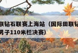 国际田联钻石联赛上海站（国际田联钻石联赛上海站男子110米栏决赛）