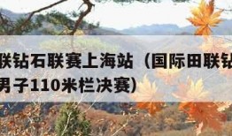 国际田联钻石联赛上海站（国际田联钻石联赛上海站男子110米栏决赛）