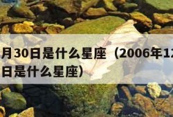 12月30日是什么星座（2006年12月30日是什么星座）