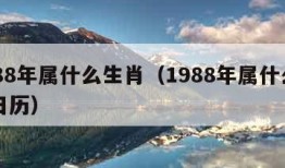 1988年属什么生肖（1988年属什么生肖日历）