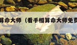 看手相算命大师（看手相算命大师免费可信吗）