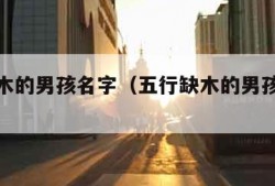 五行缺木的男孩名字（五行缺木的男孩名字最新）