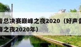 好声音总决赛巅峰之夜2020（好声音总决赛巅峰之夜2020年）