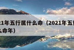 2021年五行属什么命（2021年五行属什么命年）