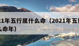 2021年五行属什么命（2021年五行属什么命年）