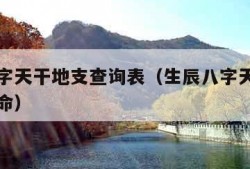 生辰八字天干地支查询表（生辰八字天干地支详细算命）