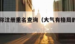 公司名称注册重名查询（大气有格局的公司名字）