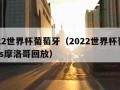 2022世界杯葡萄牙（2022世界杯葡萄牙vs摩洛哥回放）