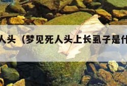 梦见死人头（梦见死人头上长虱子是什么意思）