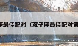 双子座最佳配对（双子座最佳配对第一名）